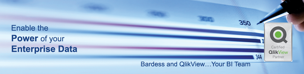 qlikview_bnr